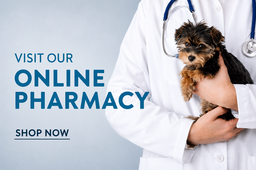 Online Pharmacy