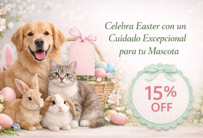 Promoción Abril 2026 Animal Hospital Hollywood