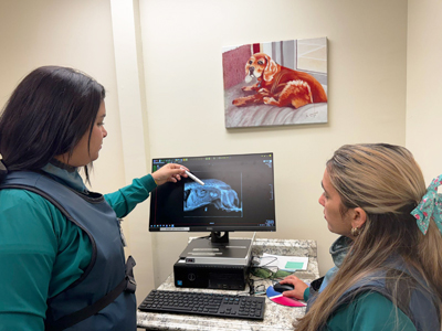 Medical Imaging