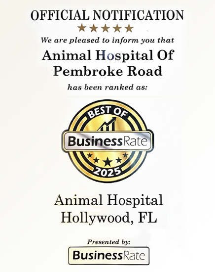 Animal Hospital Hollywood Best of Business Rate 2025