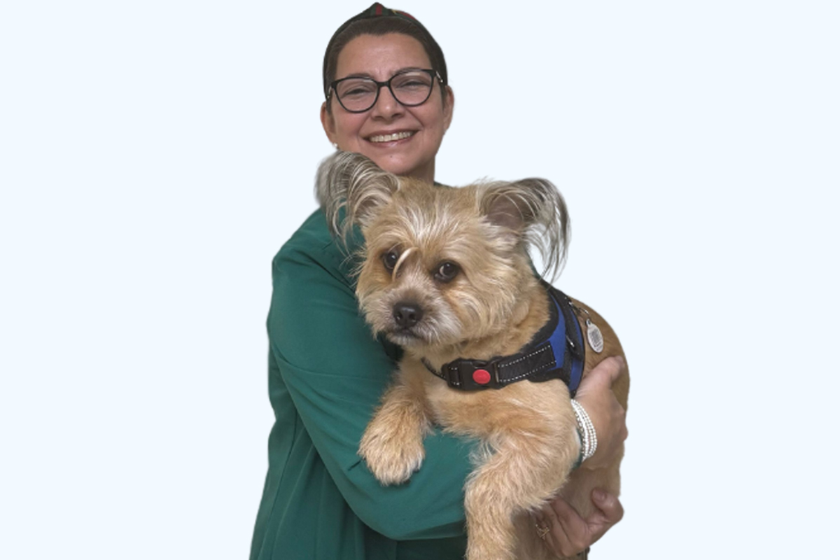 Animal Hospital of Pembroke Our Mission