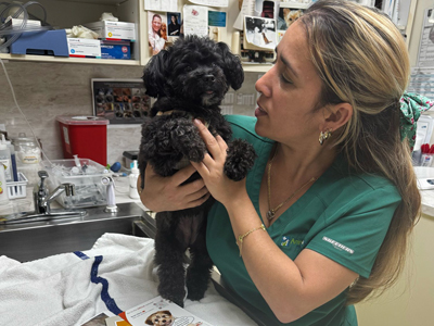 Preventive Medicine Microchip