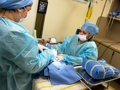 Surgical Services